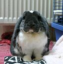 Caspar