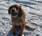 Lena