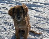 Lena