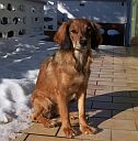Lena
