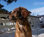 Lena