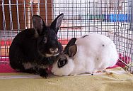 Leonie und Diego