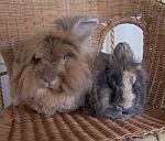 Manni & Herr Mümmelmann