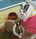 Steffi & Maxi